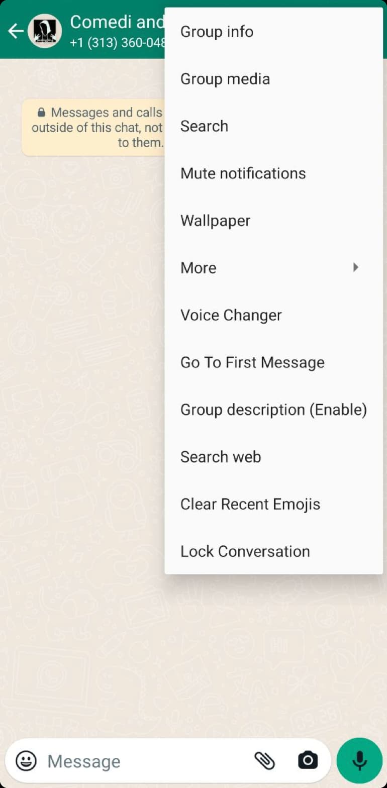 Large File Sharing and Message Scheduler - GB WhatsApp
